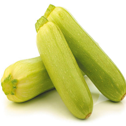 產(chǎn)品中心標(biāo)題一